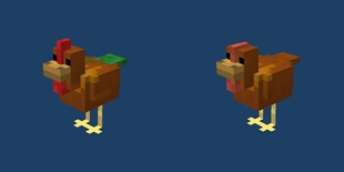 Male and Female