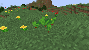 Wild plants