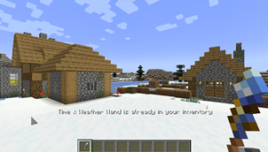 Duplicate prevention message