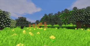 afbeelding_2026-08-01_115110995.png