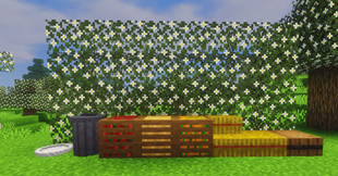 afbeelding_2026-08-01_115343085.png