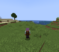 Screenshot 2026-08-01 at 16.31.17.png