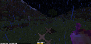 Screenshot 2026-08-01 200912.png