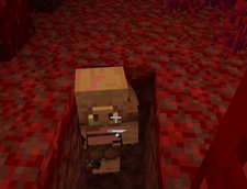 D2D01089-B98E-44DE-A806-3F87F4B8C3F0.png