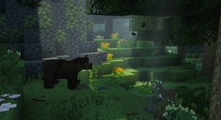 fauna.jpg