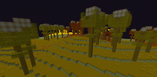 Achony Forest