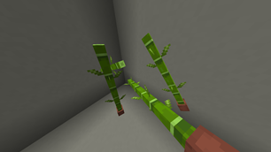 2026-08-01_23.16.04.png