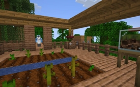 Avian village 2