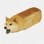 OIP.png