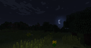 2026-08-01_20.31.24.png