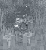 image_2026-08-03_004939285.png
