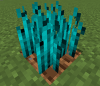 Diamond Plant