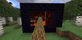 sable1.jpg