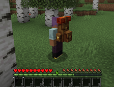 03-backpack-worn.png