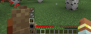 07-offhand-carousel.png
