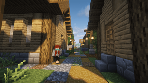 Meet the New Villagers!