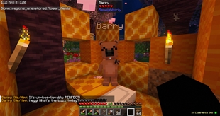 Barry Home Shaders