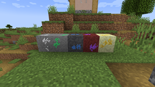 Evolution_1.png