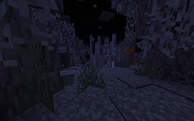 Ancient Ruins