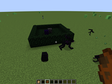 Completed Nest1.png