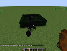 Completed Nest2.png