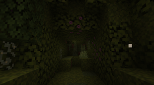 Interior Passage