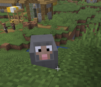 C4B3E9D9-0121-4F07-9CF0-BE7E6B9DB5AB.png