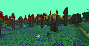 Prototaxites Field
