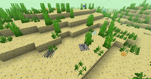 Cambrian Ocean (Paradoxides)