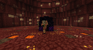 Nether Wastes