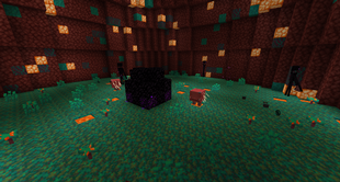 Warped Forest