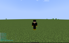All commands and Skin render
