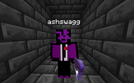 ashswagg