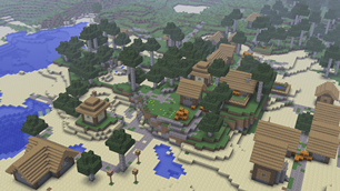 Birch Village