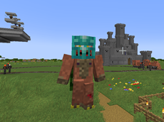 Diamond helmet with wild trim