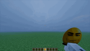 0805(3).gif