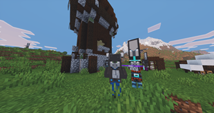 Diamond vindicator & pillager.png