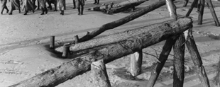 Log Ramp Real