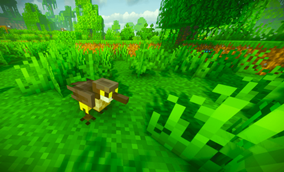 Moho_in_the_sparse_jungle.png