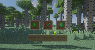 Items
