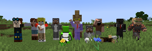 Poses and Skins Showcase