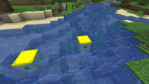 buoys floating in water