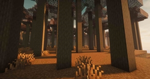 Another image of what the biome looks like