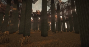 What the biome looks like