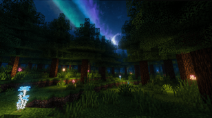 Night in the Forest.png