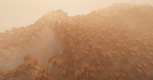 Biome from bird-view