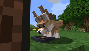 fennecfox.png