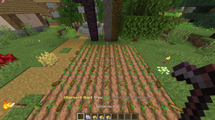 Harvest