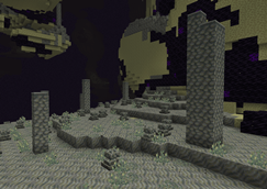The End Barrens