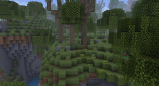 A Rancid Forest